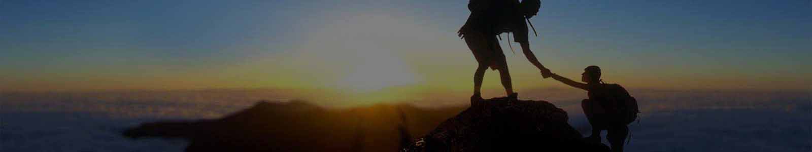 新闻公告 新闻公告